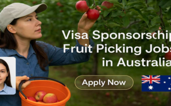 Fruit Picking Jobs in Australia 2026 – Visa Sponsorship